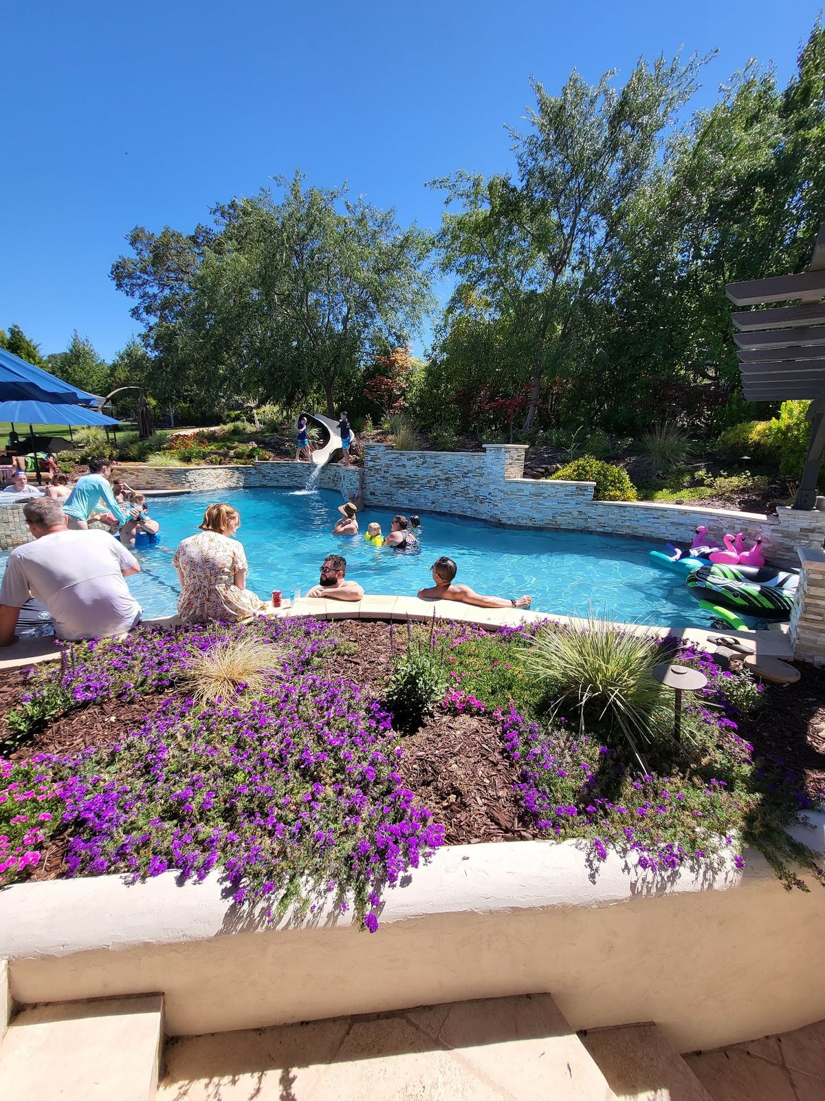 Guests swimming in the pool on a sunny day